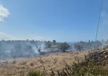 1759231177530TARIM BAKANLIĞI YENİERENKÖY YANGIN 1